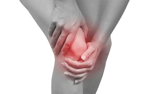  what causes knee pain
