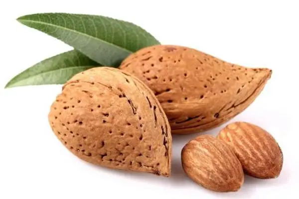 almonds for sleep better