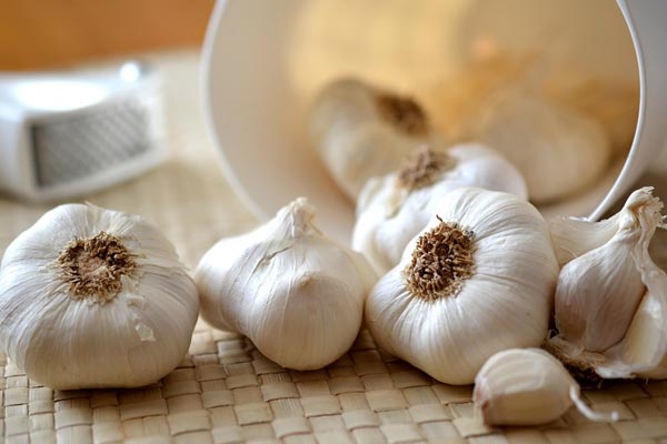 garlic milk for sciatica